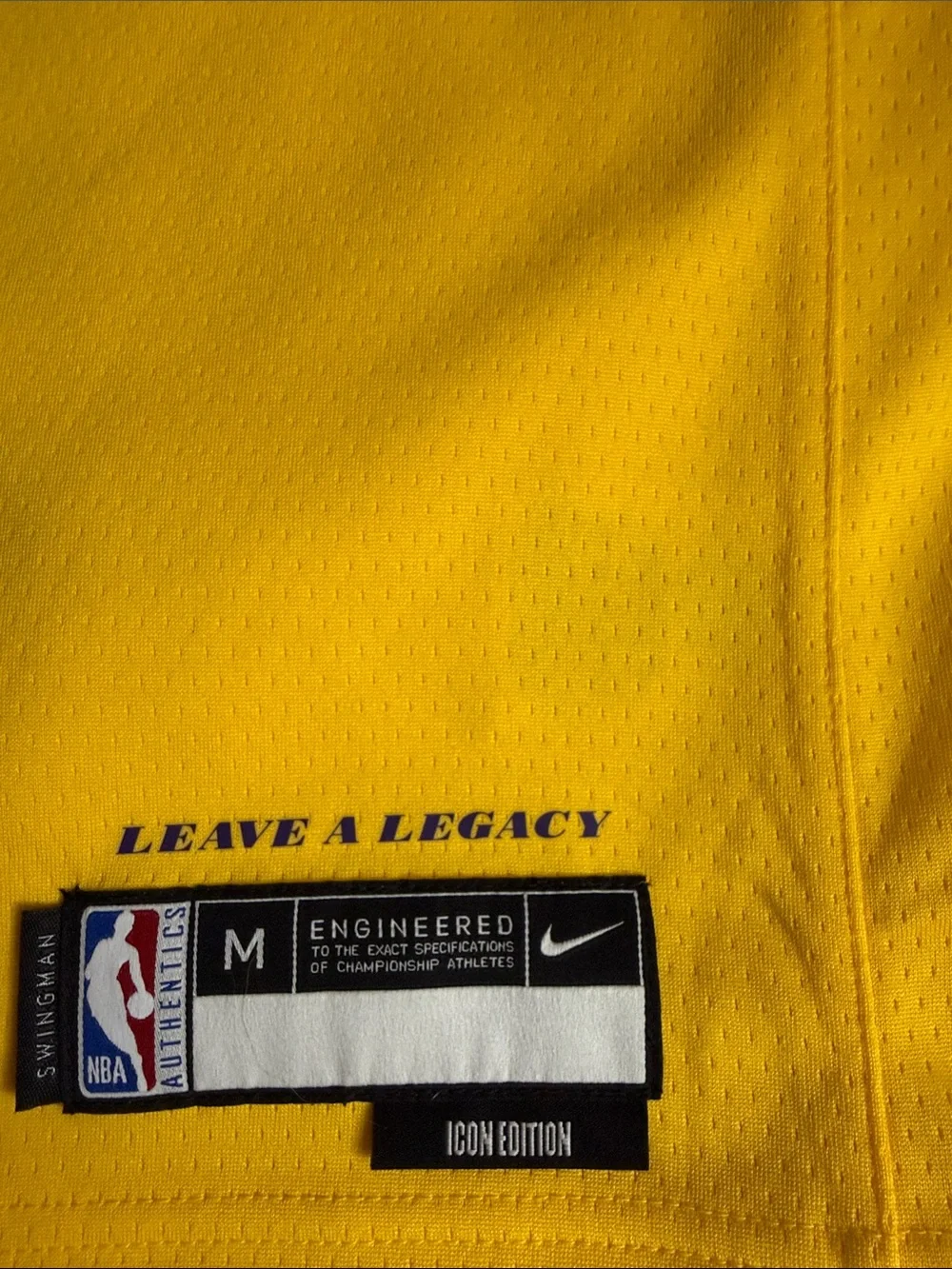 Nike Lakers Purple and Yellow #6 Basketball Jersey